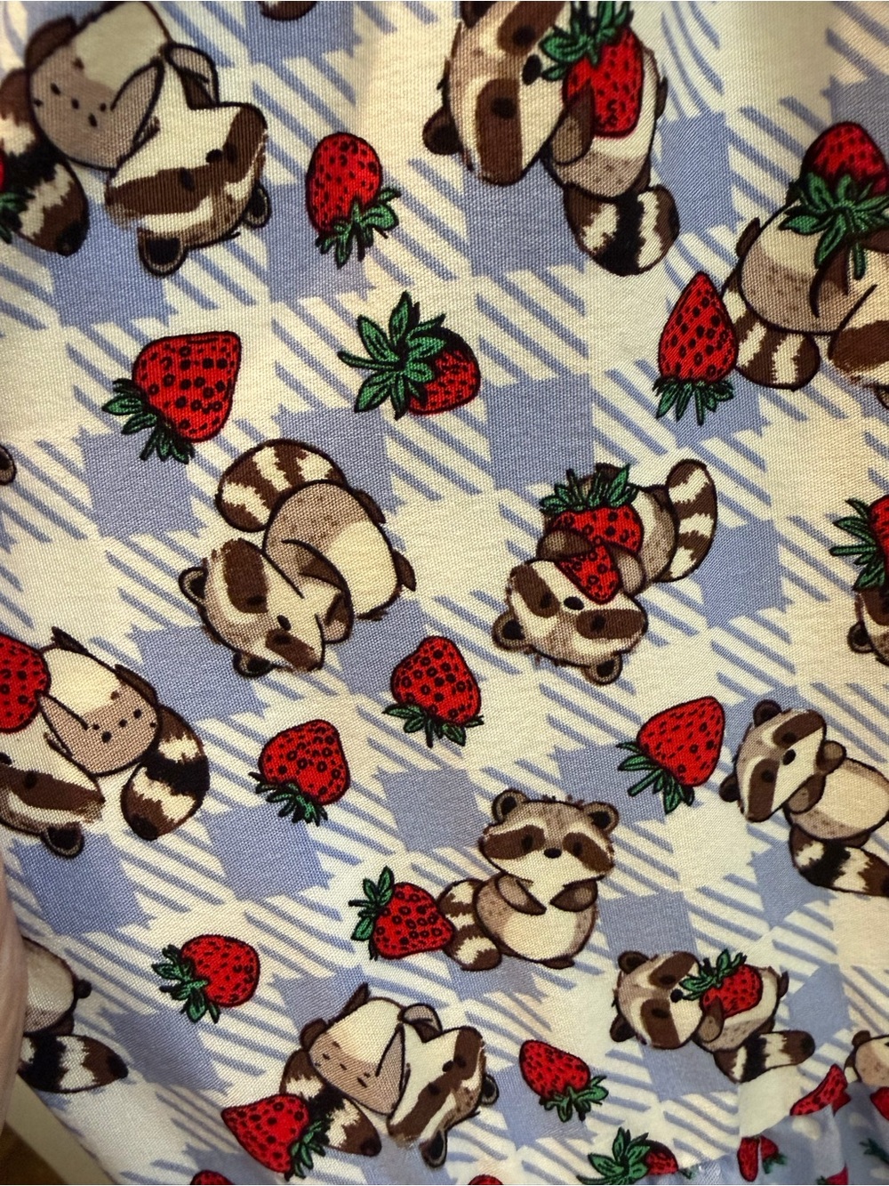 NEW Thorn & Fable Raccoons & Strawberries Strappy Maxi Dress - Hot Topic - Small - Picture 8 of 8